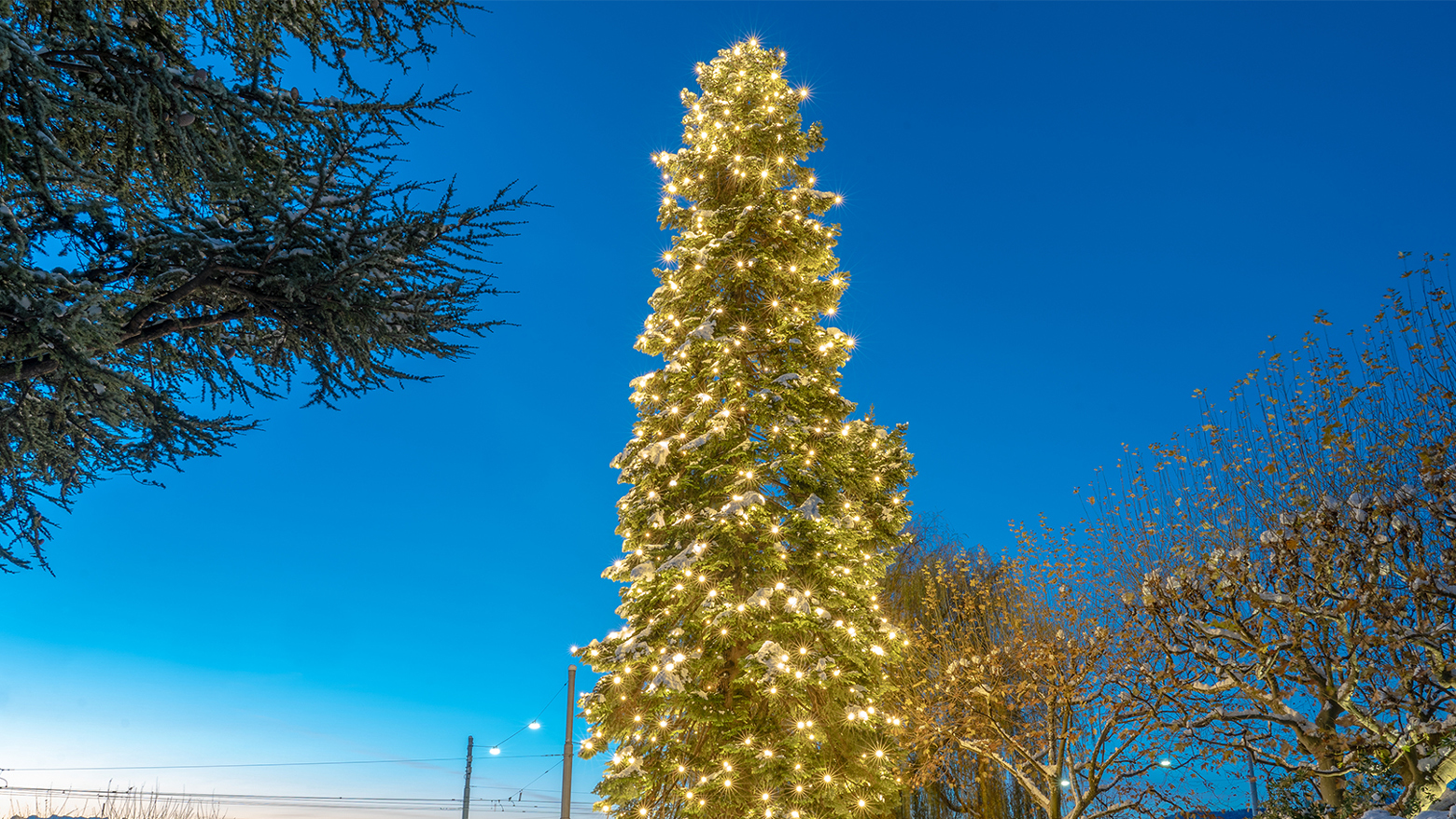 MK Sparkling Light – luce festosa per ogni ambiente