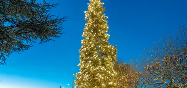 MK Sparkling Light – une lumière festive pour chaque environnement