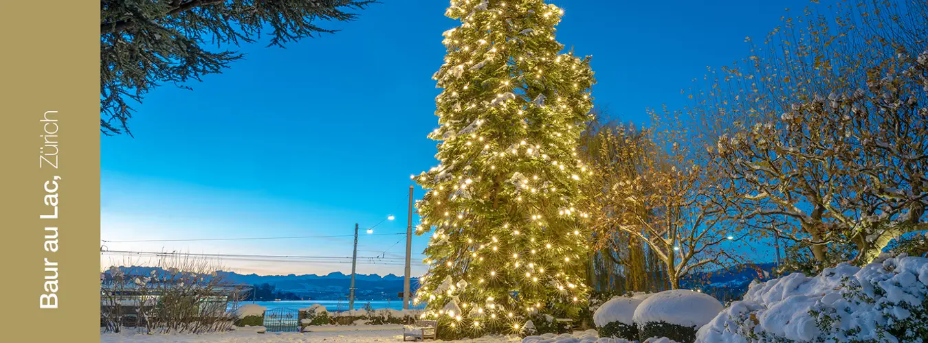 MK Sparkling Light – une lumière festive pour chaque environnement