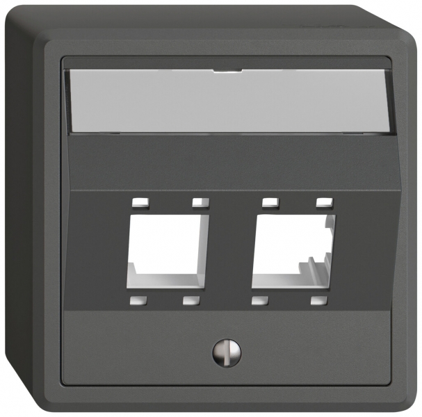 Kit de montage AP EDIZIO.liv SNAPFIX® pour freenet cat.5e/6 2× grf 