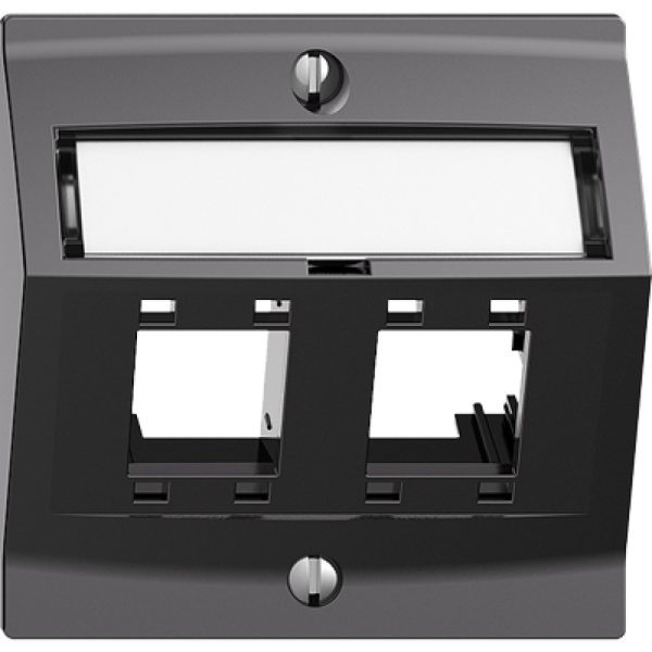 Kit montaggio EDIZIOdue, con cappa di uscita obliqua, per 2×RJ45, grigio scuro 