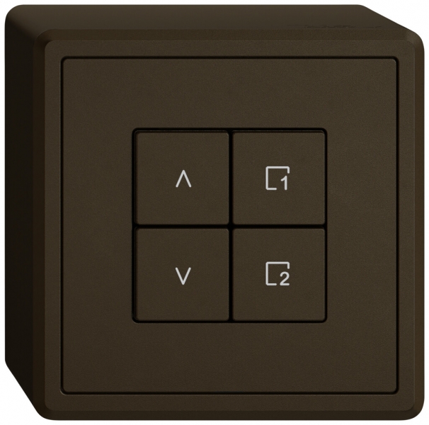 Station sec.stores AP EDIZIO.liv Wiser SNAPFIX® 1 scène 4 touches WLAN br 