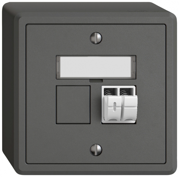 Prise audio AP EDIZIO.liv SNAPFIX® 1× grf 