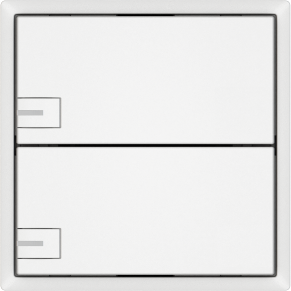 Universaltaster EDIZIO.liv UNI SNAPFIX® 12…48V m.LED blau 2× 1-Tbed.ws 