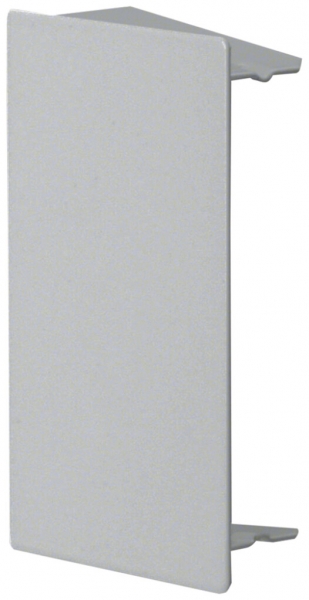 Embout de fermeture Hager tehalit.LFS 100×60mm zinc IP30 