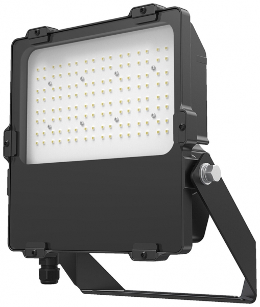 Projecteur LED DOTLUX LENSplus 100W 12630lm 830 IP66 60×120° 370×295mm noir 