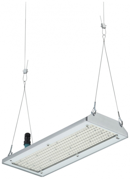 Proiettore capannone LED GentleSpace 76W 13000lm 840 IP65 42°×44° DALI 254×600 