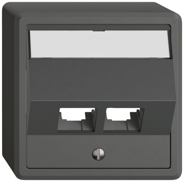 Kit de montage AP EDIZIO.liv EASYNET S-One SNAPFIX® incliné 2×RJ45 grf 