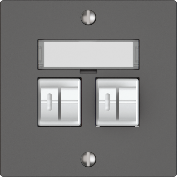 Prise audio EDIZIO.liv SNAPFIX® 2× grf 