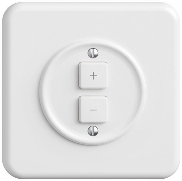 Stazione secondaria variatore INC STANDARDdue Wiser SNAPFIX® 2 tasti bi 