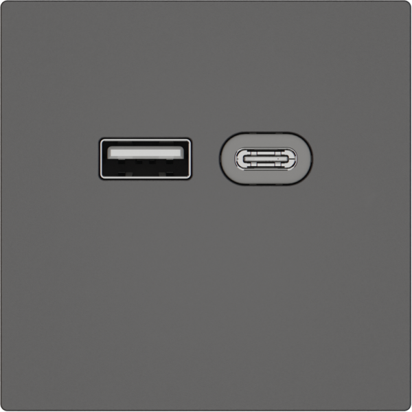 Prise de charge USB EDIZIO.liv SNAPFIX® 230VAC 18W 1×USB A 1×USB C grf 