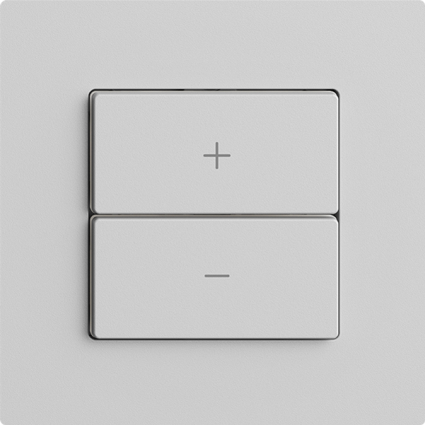 Dimmer Uni-LED 1K/2T Edue Wiser grigio chiaro 