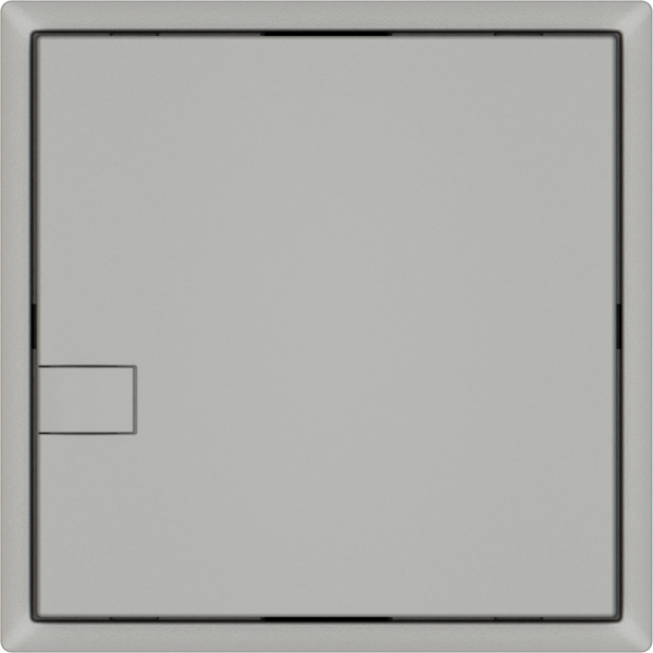 Pulsante universale EDIZIO.liv UNI SNAPFIX® 5…48V s.LED 1× com.1T grc 