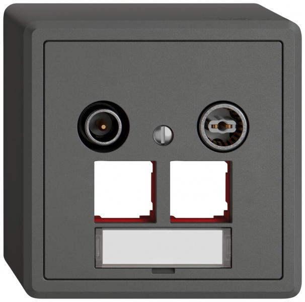 Prise multimédia AP TV-R EDIZIO.liv SNAPFIX® EASYNET p.2×RJ45 S-One 15dB grf 