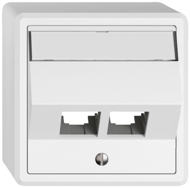 AP-Montageset EDIZIO.liv EASYNET S-One SNAPFIX® schräg 2×RJ45 ws 
