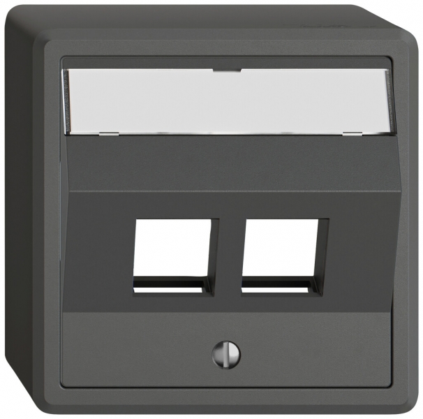 Kit di montaggio AP EDIZIO.liv Keystone SNAPFIX® inclinato 2× grs 