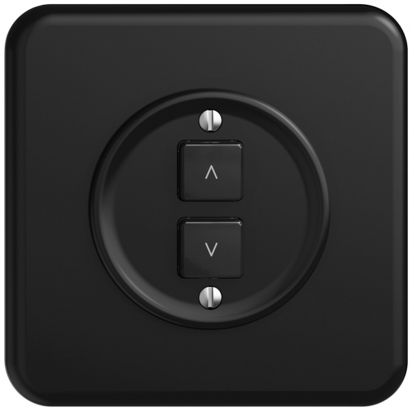 Interrupteur stores ENC STANDARDdue Wiser SNAPFIX® 2 touches no 