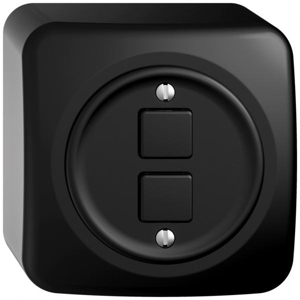 Pulsante KNX RGB AP STANDARDdue SNAPFIX® 2×tasti c.sensore temp.ne 