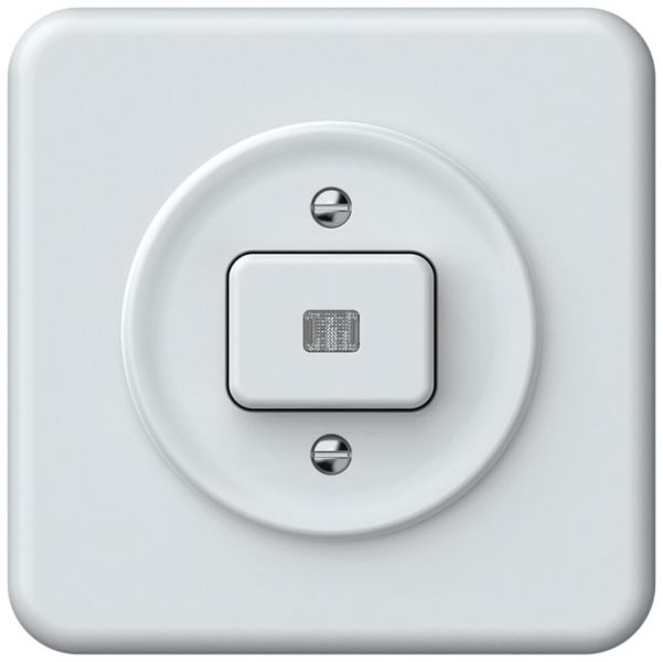 Pulsante luminoso INC origin 1×tasto luminoso 1CO 1P 0<1 10A 230V 92×92mm bianco 