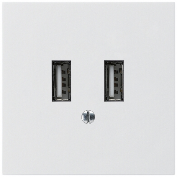Presa di carica USB INC Hager kallysto A 240V 2400mA bianco 