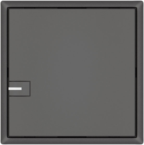 Pulsante KNX RGB EDIZIO.liv SNAPFIX® sensore temp.RGB-LED 1× com.1T grs 