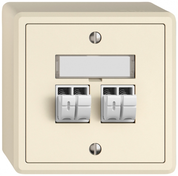 Prise audio AP EDIZIO.liv SNAPFIX® 2× cr 