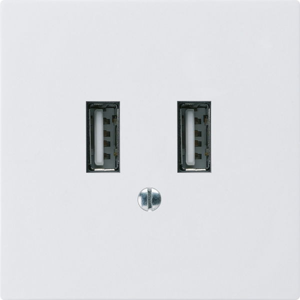 Presa di carica USB INC Hager kallysto A 240V 2400mA bianco 