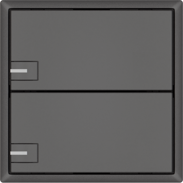 Universaltaster EDIZIO.liv UNI SNAPFIX® m.LED RGB 2× 1-Tbed.dgu 