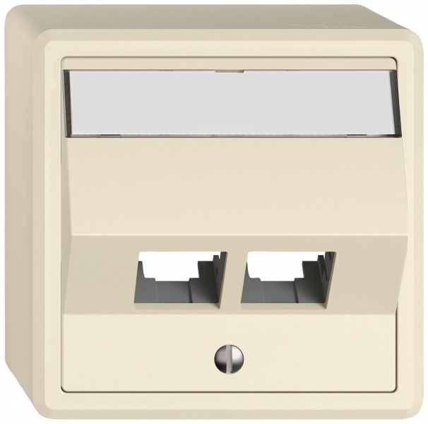 Kit di montaggio AP EDIZIO.liv EASYNET S-One SNAPFIX® inclinato per 2×RJ45 cr 