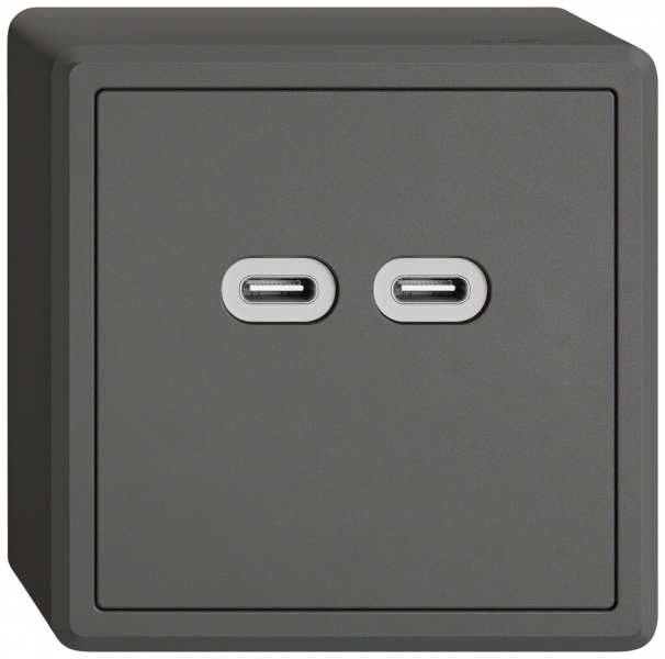 Prise de charge USB AP EDIZIO.liv SNAPFIX® 230VAC 18W 2×USB C grf 