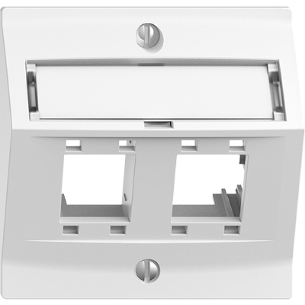 Kit montaggio EDIZIOdue, con cappa di uscita obliqua, per 2×RJ45, bianco 