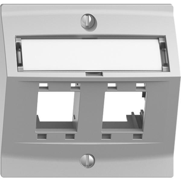 Kit montaggio EDIZIOdue, con cappa di uscita obliqua, per 2×RJ45, grigio chiaro 