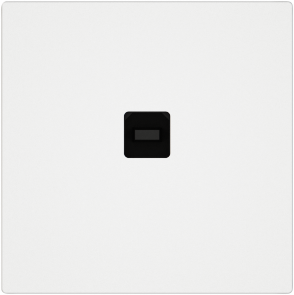 Interface de données USB KNX EDIZIO.liv SNAPFIX® prise USB type B bc 