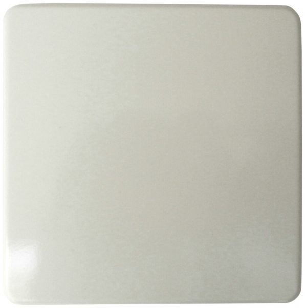 Plaque de recouvrement 2×2 sans alésage blanc 