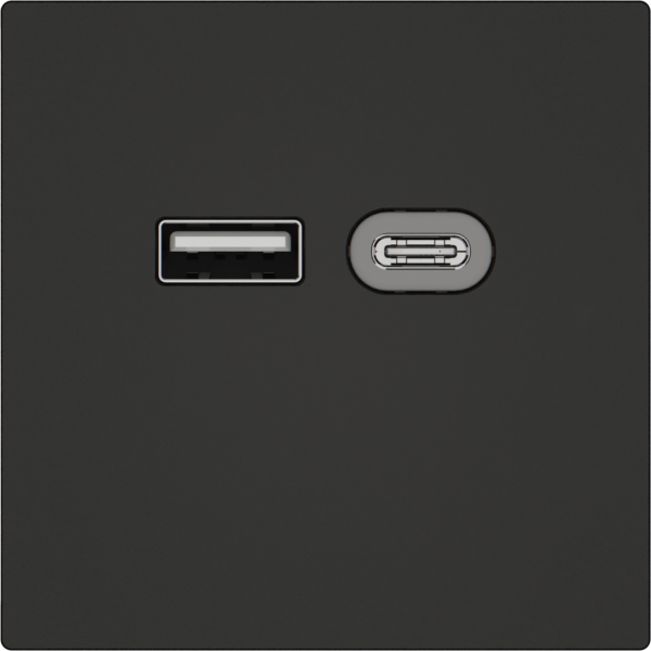Presa di ricarica USB EDIZIO.liv SNAPFIX® 230VAC 18W 1×USB A 1×USB C ne 