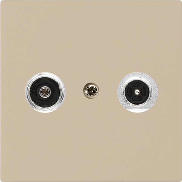 Antennendose kallysto R/TV Bauart A 14dB 2GHz beige 