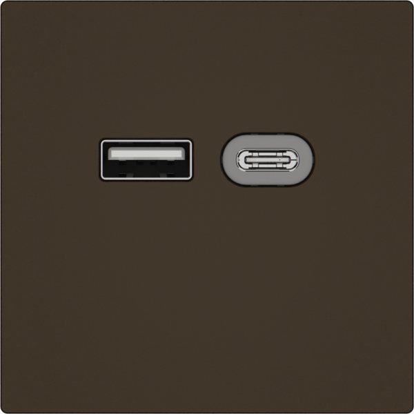Prise de charge USB EDIZIO.liv SNAPFIX® 230VAC 18W 1×USB A 1×USB C br 