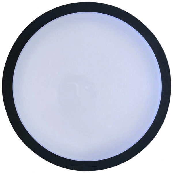 Applique LED Z-Licht RondoLED 4.5W 500lm 3000K IP65 Ø250mm antracite 