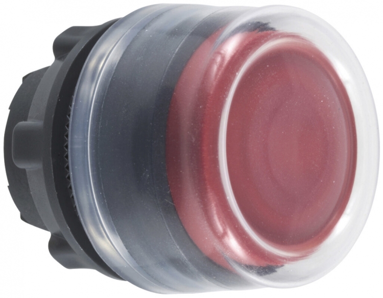Pulsante per parte di comando Schneider Electric rosso 