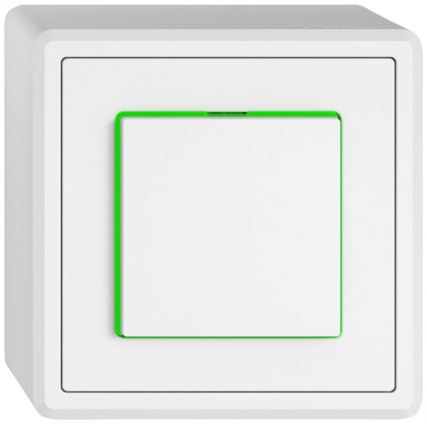 Contact à poussoir AP EDIZIO.liv SNAPFIX® ARL/1P éclairage latéral vert bc 