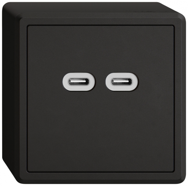 Prise de charge USB AP EDIZIO.liv SNAPFIX® 230VAC 18W 2×USB C no 