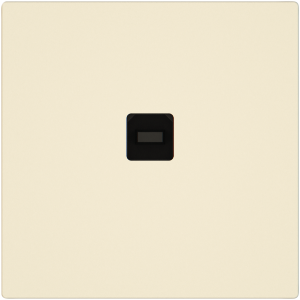 Interfaccia dati USB KNX EDIZIO.liv SNAPFIX® presa USB tipo B cr 