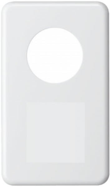 Abdeckplatte I-I 43mm+blind weiss 
