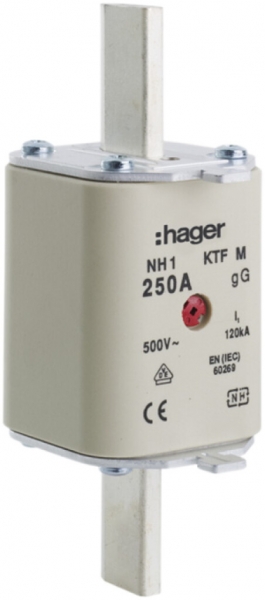 Fusibile HPC Hager DIN1c 500VAC 40A gG/gL segnalatore doppio antiruggine 