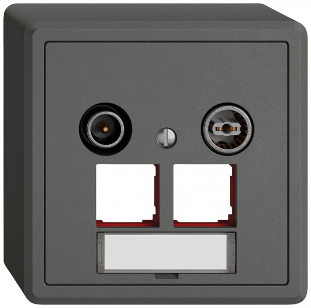 Prise multimédia AP TV-R EDIZIO.liv SNAPFIX® EASYNET p.2×RJ45 S-One 11dB grf 