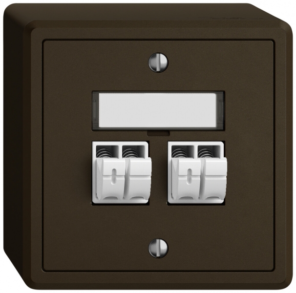 Prise audio AP EDIZIO.liv SNAPFIX® 2× br 