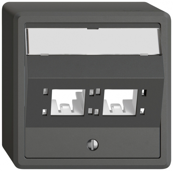 Kit di montaggio AP EDIZIO.liv SNAPFIX® per freenet cat.6A adattatore 2× grs 