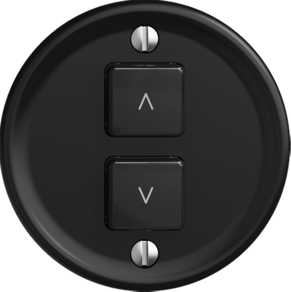 Interrupteur stores STANDARDdue Wiser SNAPFIX® 2 touches no 