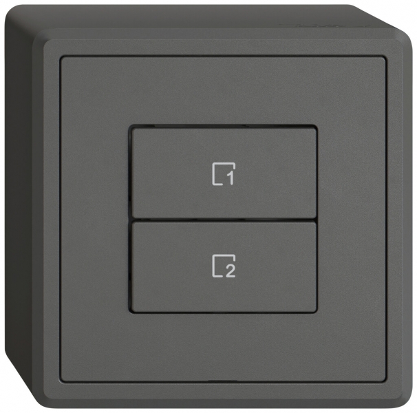 Poussoir scènes AP EDIZIO.liv Wiser SNAPFIX® 2 scènes 2 touches WLAN grf 