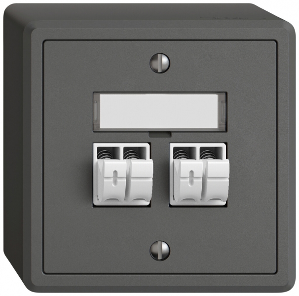 Prise audio AP EDIZIO.liv SNAPFIX® 2× grf 